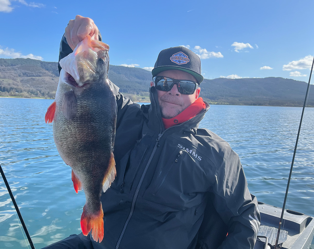 Megabass Spark Shad 7,6cm